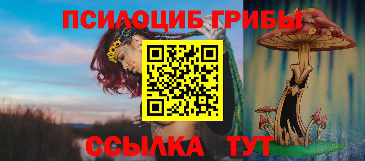 Галлюциногенные грибы MAGIC MUSHROOMS  Вход с VPN  Трёхгорный 